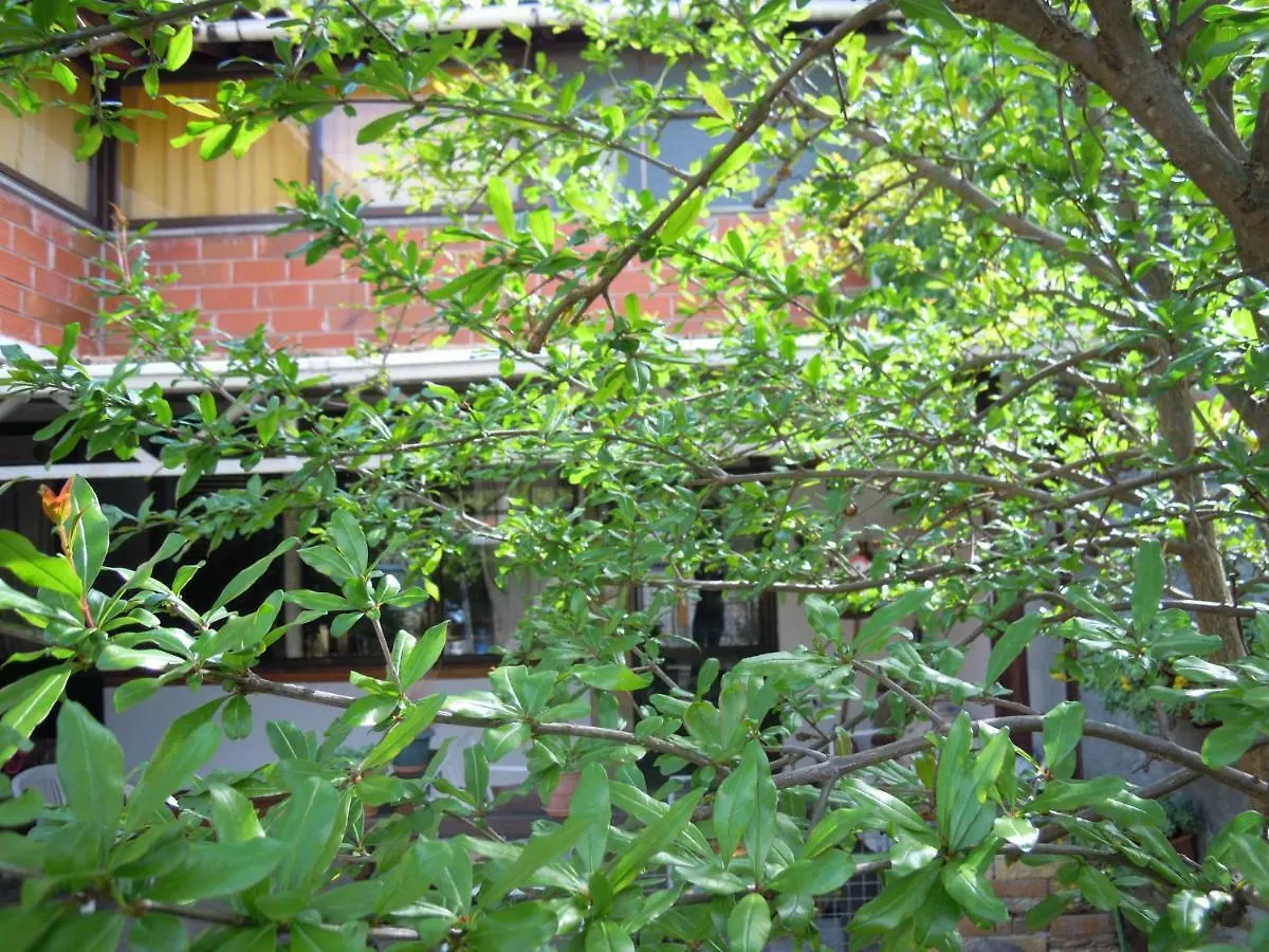 Homestay Angie'S Shared Villa Tam Tirana