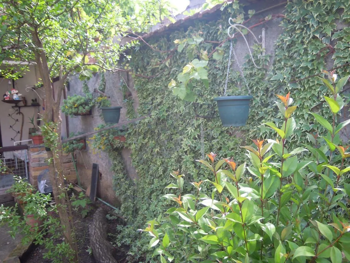 Angie'S Shared Villa Tam Tirana 0*,